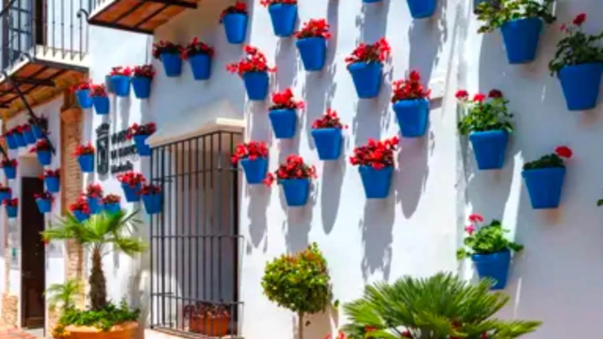 Apartment Beachside Apartment-H - Costa Del Sol Sitio de Calahonda Spain